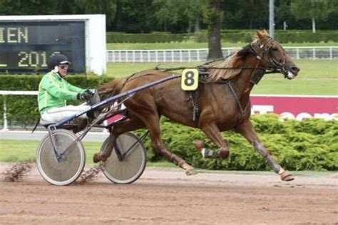 gagnant course blogspot|BELLES TURF.